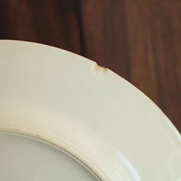 Vintage 1920s 1930s Dinner Plate, Hutschenreuther Selb Bavaria. Floral China, - Picture 10 of 10